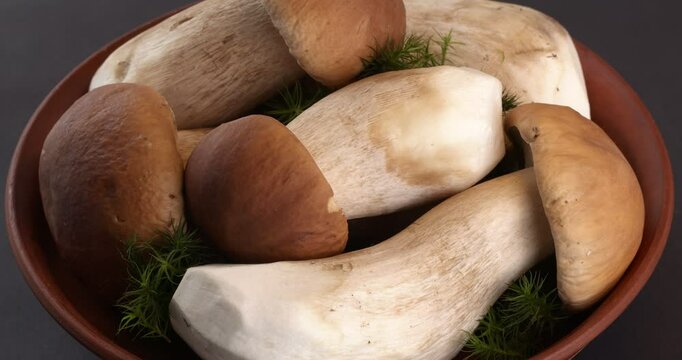 Boletus edulis (king bolete) mushroom in a bowl on a dark background. Close-up footage on the rotating table.