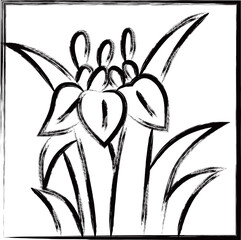 筆書き正方形ミニ花札　菖蒲　杜若　皐月　5月　菖蒲のカス