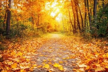 Obraz premium Scenic Autumn Forest Path Surrounded by Golden Leaves