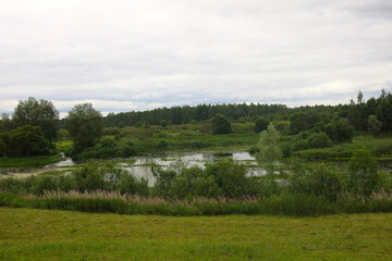 summer view of a quiet lake in the Orekhovno Landscape Park