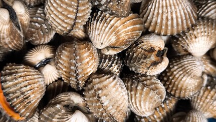 Clams in a restaurant. Seafood.