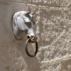 horse on the wall with piercing :-)