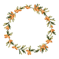 Sea buckthorn branches wreath with orange berries and green leaves. Medicinal plant. Watercolor floral illustration