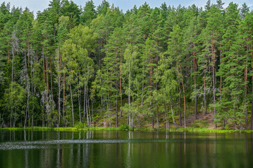 Idyllic Lake Certoks in Čertoka ezera skatapunkts National Park near Aglona, ​​Latvia – beautiful trees and reflection in the water