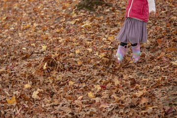 A child in colorful rain boots standing amidst a bed of fallen autumn leaves, playing and gathering them, capturing the joy and playful spirit of the season in a natural outdoor setting.