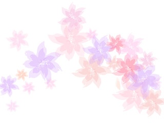 pink flowers isolated on white