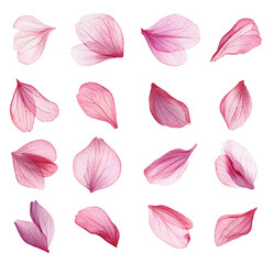seamless pattern with pink leaves