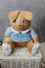 teddy bear sitting on a chair