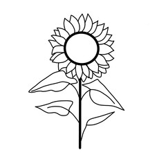 agriculture plant sunflower
