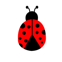 Obraz premium Vector of a ladybug drawn from the top of its back