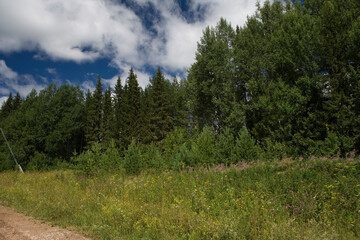 Russia Perm Krai taiga landscape on a summer cloudy day
