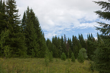 Russia Perm region landscape on a summer cloudy day