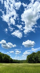 A wide, grassy field with green trees on either side and a bright blue sky with fluffy white clouds.