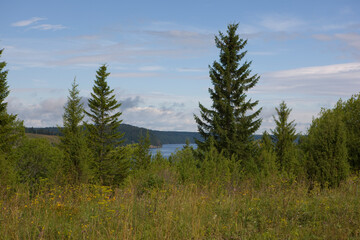 Russia Perm Krai taiga landscape on a summer cloudy day