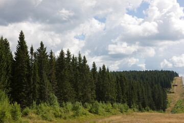 Russia Perm region landscape on a summer cloudy day