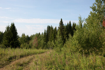 Russia Perm region taiga in autumn
