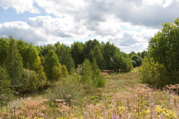 Russia Perm region landscape on a summer cloudy day