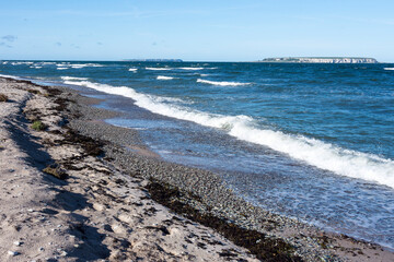 Stora Karlsö und Lilla Karlsö auf Gotland	