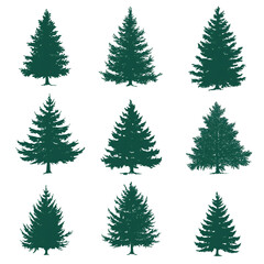 Obraz premium pine tree clip art set, watercolor style, on white background