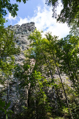 Russia Perm region taiga in autumn