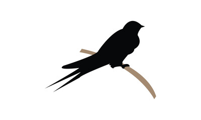 Barn Swallow Silhouette Design  And Vector Illustration. 