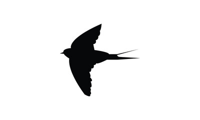 Barn Swallow Silhouette Design  And Vector Illustration. 