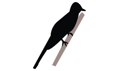 Barn Swallow Silhouette Design  And Vector Illustration. 