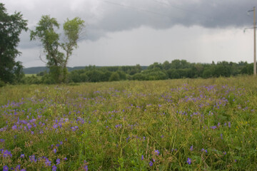 Russia Perm region landscape