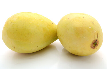 Mango fruit (Mangifera) isolated on white background
