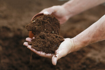 A close up of a man hands holding dark, rich soil, with loose dirt spilling from an overturned pot....