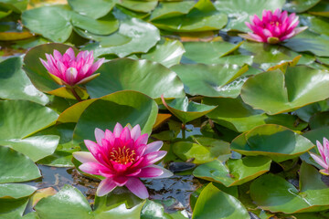 Magnificent exterior shots of Maria Luisa Park in Seville, Spain.