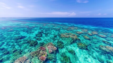 Fototapeta premium Marine Protected Areas are crucial for effective ocean conservation. Aerial view of a marine protected area, clear blue waters revealing vibrant coral formations,