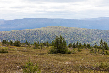 Russia Perm region forest landscape on a cloudy summer day