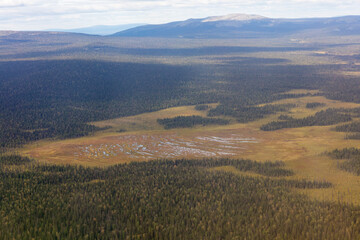 Russia Perm region forest landscape on a cloudy summer day