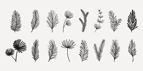 Cartoon Set of Flat Fir Tree Branches with Red Berries. Collection of spruce twigs in hand drawn cartoon style isolated on white background. © Desenarrt