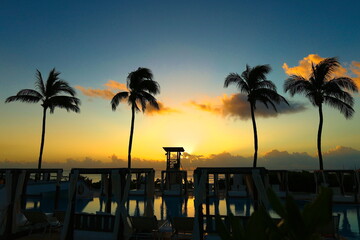 Vibrant sunrise over four palm trees, casting orange and yellow hues across a beautiful sky and the...