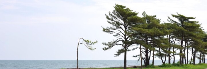 * Trees standing tall on the shoreline with their branches swaying gently in the wind, landscape, trees