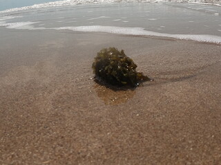 DCIM\100GOPRO\G0032110.JPG