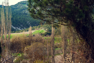 A wonderful landscape of rugged geographical terrain dominated by chaos. Photography of shallow depth of field.