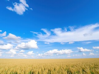 Fototapeta premium Field under blue sky with clouds in Oklahoma, farm life, sky and earth, cloud formations
