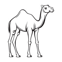 Camel line art vector on a white background