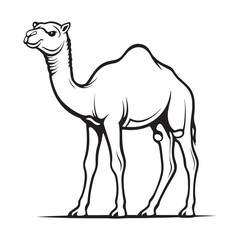 Camel line art vector on a white background