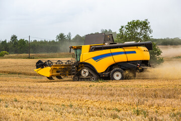 Fototapeta premium Combine harvester harvesting ripe wheat on big wheat field and tractor .Agricultural activity, excellent harvest
