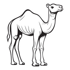 Camel line art vector on a white background