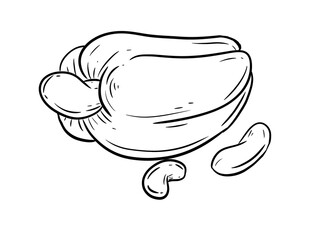 cashew digital drawing illustration isolated