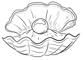 clam digital drawing illustration isolated