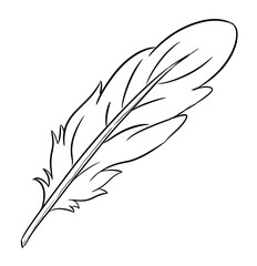 Obraz premium feather digital drawing illustration isolated