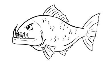 piranha digital drawing illustration isolated