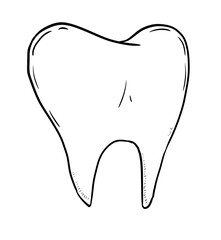 tooth digital drawing illustration isolated