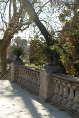 old stone bridge in autumn park nature